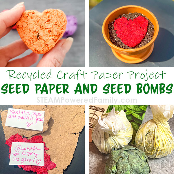 Recycled Paper Seed Paper and Seed Bombs