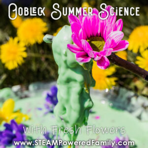 Summer Flower Oobleck Recipe