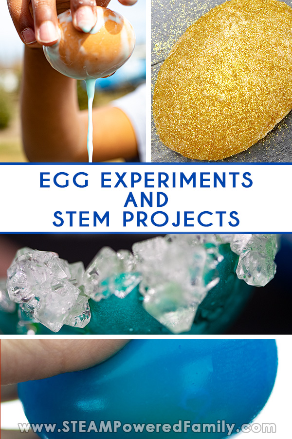 Various egg experiments and STEM projects are depicted