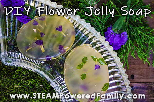 Homemade soap jelly bars with purple flowers sits on a bed of moss and spruce boughs. Overlay says Flower Jelly Soap