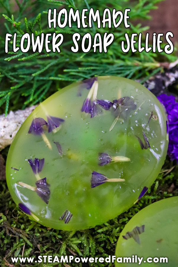 A homemade soap jelly with purple flowers sits on a bed of moss and spruce boughs. Overlay says Easy Recipe Flower Soap Jellies