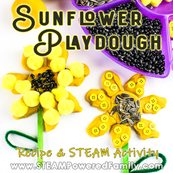 A bright yellow playdough flower is decorated with seeds and craft items. Overlay text says Sunflower Playdough Recipe and STEAM Activity
