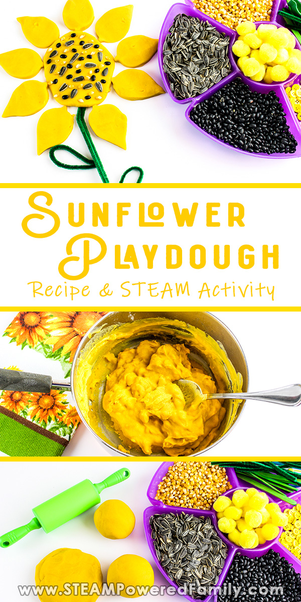Easy and gorgeous homemade sunflower playdough recipe. Create an interactive, hands on learning experience with this fun STEAM activity for all ages. Sunflowers are the perfect representation of summer and we loved using them in this project. This easy, fail safe play dough recipe creates the most soft, pliable and smooth playdough ever. Perfect for sculpting into a gorgeous sunflower shape that you can decorate with natural seeds and craft items. Click to learn more from STEAM Powered Family. via @steampoweredfam