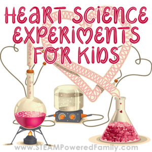 Heart Science Experiments To Inspire A Love Of Learning