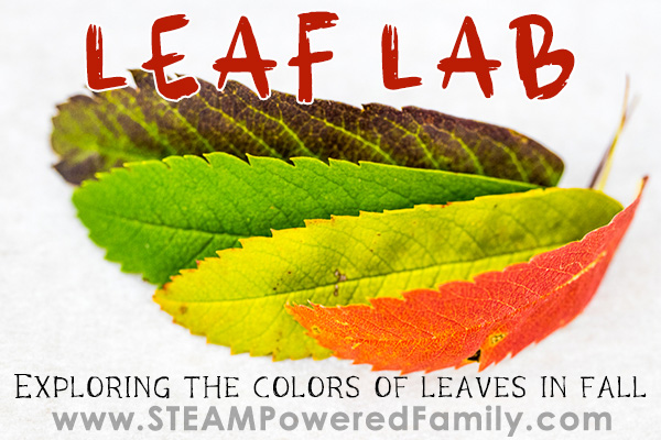 Leaf Lab Fall Science for kids with leaves