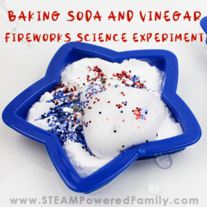 Baking Soda and Vinegar Fireworks