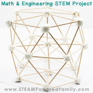 Marshmallow Geometry STEM Challenge - Geometry and Engineering