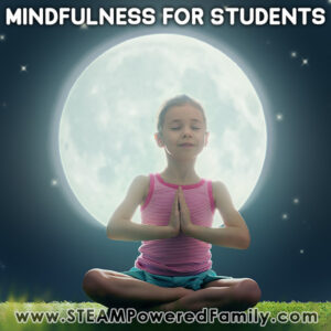 Mindfulness for Students