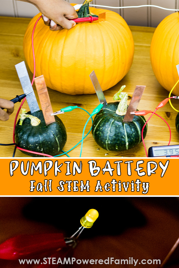 Pumpkin battery science experiment for kids. The perfect Halloween and Fall Harvest science experiment with electricity. Explore how electricity is produced by the fruit (pumpkins and squash) and how to connect the fruit to form a battery to power an LED. A fascinating lesson on the naturally occurring energy around us and how we can harness that for our own use. #FallScience #PumpkinScience #electricityexperiment #HalloweenScience via @steampoweredfam