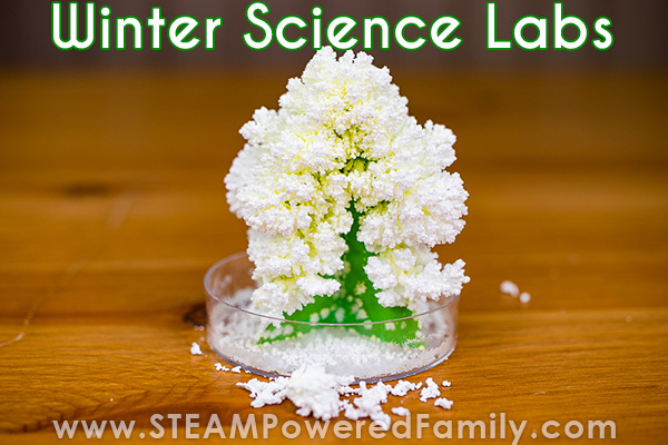 Winter Science Labs