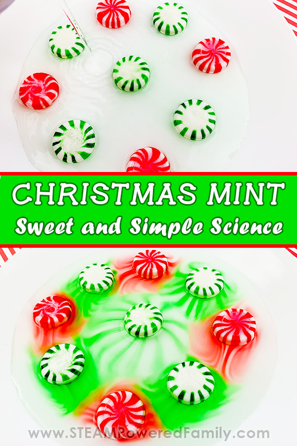 Christmas Mint Science 