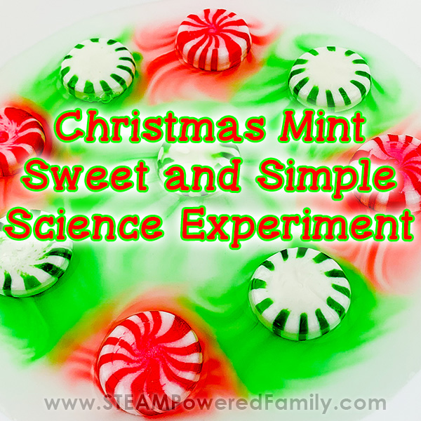 Christmas Mint Science Experiment