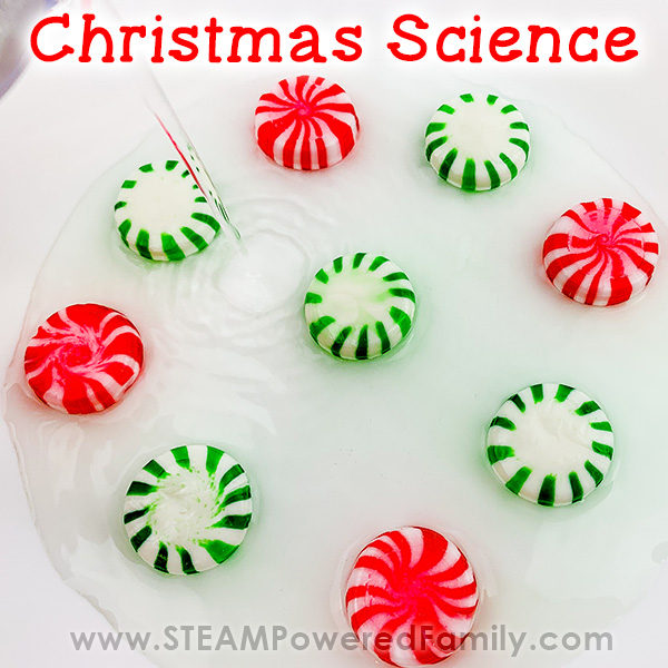 Christmas Science