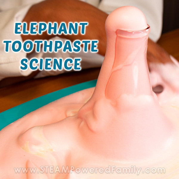 Elephant Toothpaste Reaction