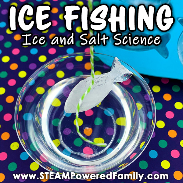 Ice Fishing Science Experiment for Kids