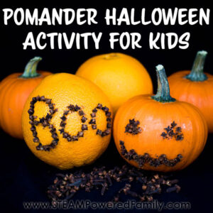 Pomander Project for Kids