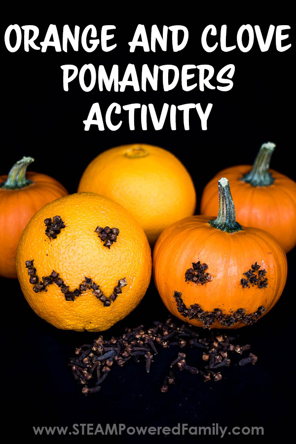 Orange and Clove Pomander Activity