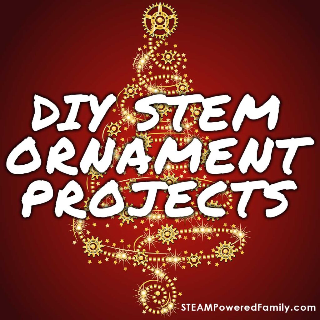 DIY STEM Ornament Projects