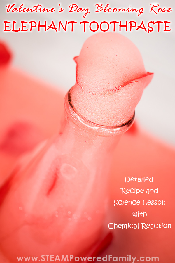 A mesmerizing twist on the classic Elephant Toothpaste experiment, this Blooming Roses Elephant Toothpaste is perfect for Valentine's Day. Students learn in a hands on way about Chemical Reactions, Catalysts, Surface Tension, Exothermic Reactions, Temperature, Liquid/Gas (states of matter), Mixtures, Density and Energy. Click to learn more including the Elephant Toothpaste recipe, Elephant Toothpaste chemical reaction and more. STEAMPoweredFamily.com via @steampoweredfam