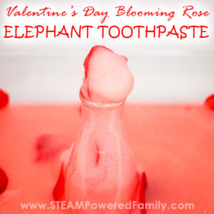 Blooming Roses Elephant Toothpaste