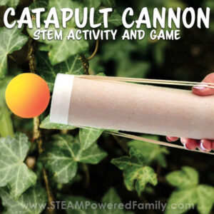 Catapult Cannon STEM Activity and Game Launching