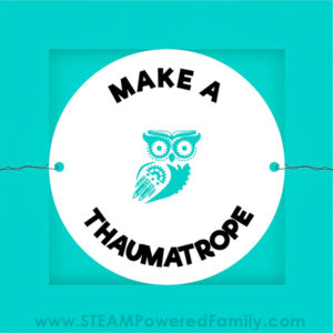 Make a Thaumatrope Projects