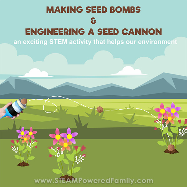 Seed Bombs and Launcher DIY STEM Activity for Kids