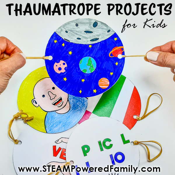 Thaumatrope Project for Kids