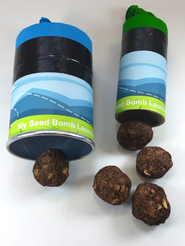 Seed Bombs and Launcher Project