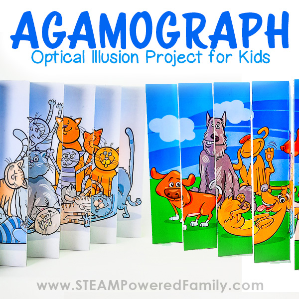 Agamograph Optical Illusion Project for Kids