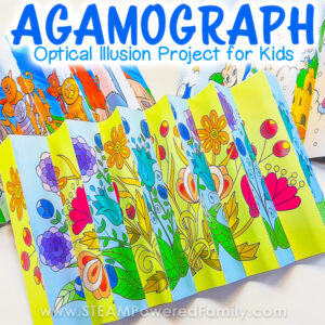 Agamograph Optical Illusion Project