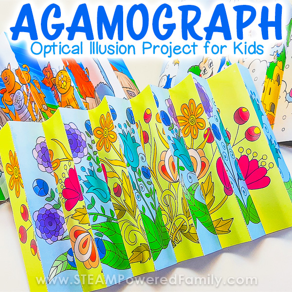 Agamograph Optical Illusion Project