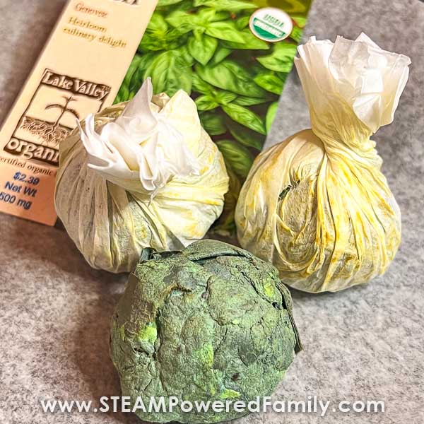 Recycled Paper Seed Bombs