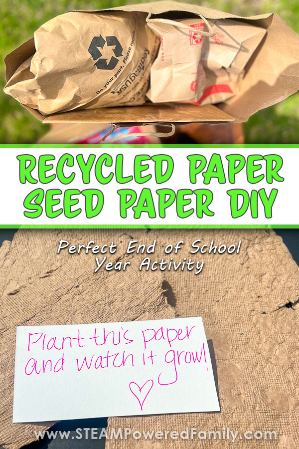 Use all the paper scraps and remnants from crafting in your classroom to create beautiful Seed Paper and Seed Bombs for students to plant. Learn 4 different ways to make seed paper and seed bombs, this is the perfect end of year school project for students. Use these to grow wildflowers, herbs or vegetables. Makes a great gift or a keepsake for students to take home at the end of the year. Visit STEAMPoweredFamily.com for all the details on this project.  via @steampoweredfam