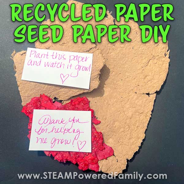 Recycled Paper Seed Paper and Seed Bombs Project