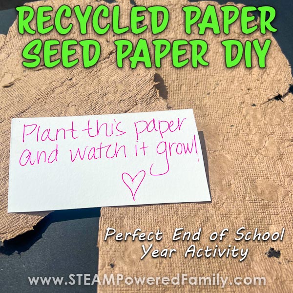 Recycled Seed Paper