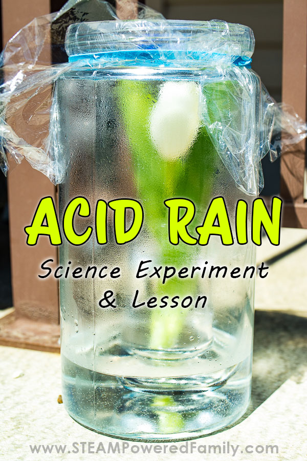 Learn about acid rain with this simple, but powerful science experiment demonstrating the devastating effects of acid rain on plants. see. As part of our environmental sciences studies, we have developed a special science experiment exploring the impact of acid rain on plants. The results were impactful and highly educational. Visit STEAMPoweredFamily.com to get all the details.  via @steampoweredfam