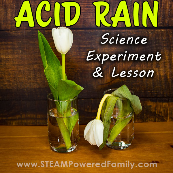 Acid Rain Science Experiment