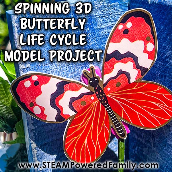 Butterfly Life Cycle Activity for Kids