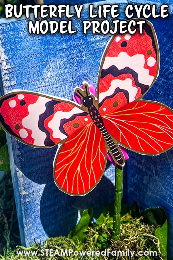Learn about the Butterfly Life Cycle and make a fun 3D model that spins! Explore all four stages of the Butterfly Life Cycle in this STEM Project, while also putting your engineering and crafting skills to work. A wonderful biology project for elementary aged students. Visit STEAMPoweredFamily.com to get all the details.  via @steampoweredfam