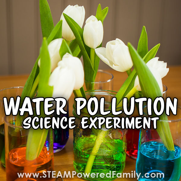 water pollution science experiment