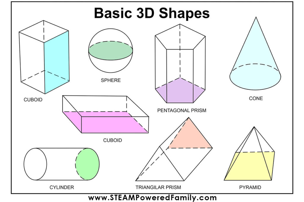 Examples of 3D shapes