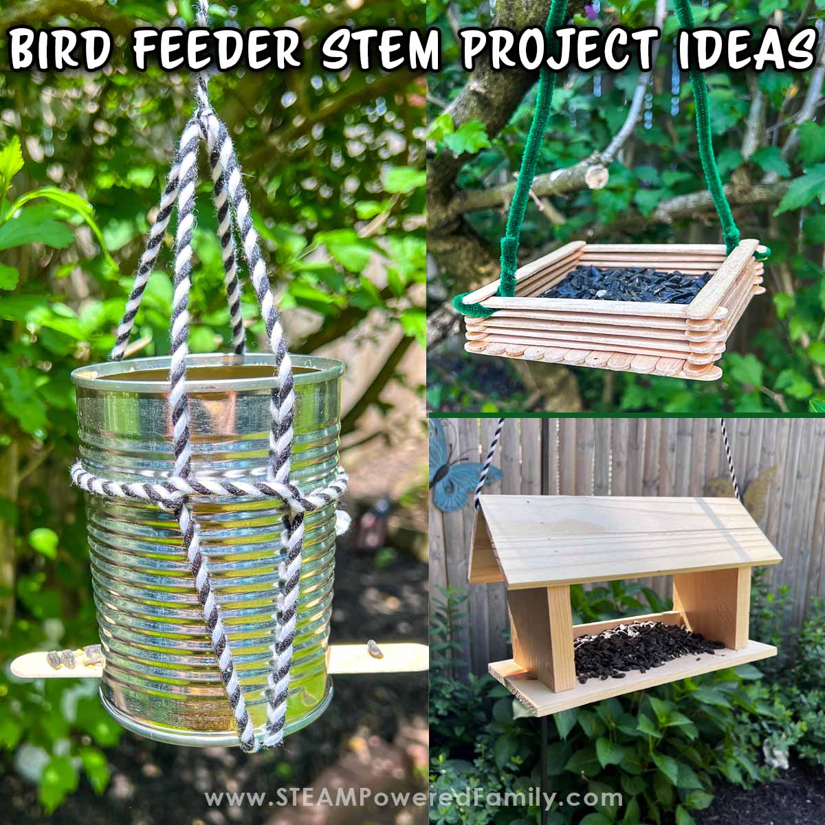 Bird Feeder STEM Project for Kids – Summer Fun Learning