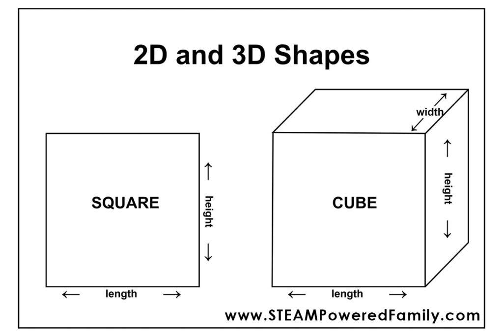 Comparing 2D and 3D shapes