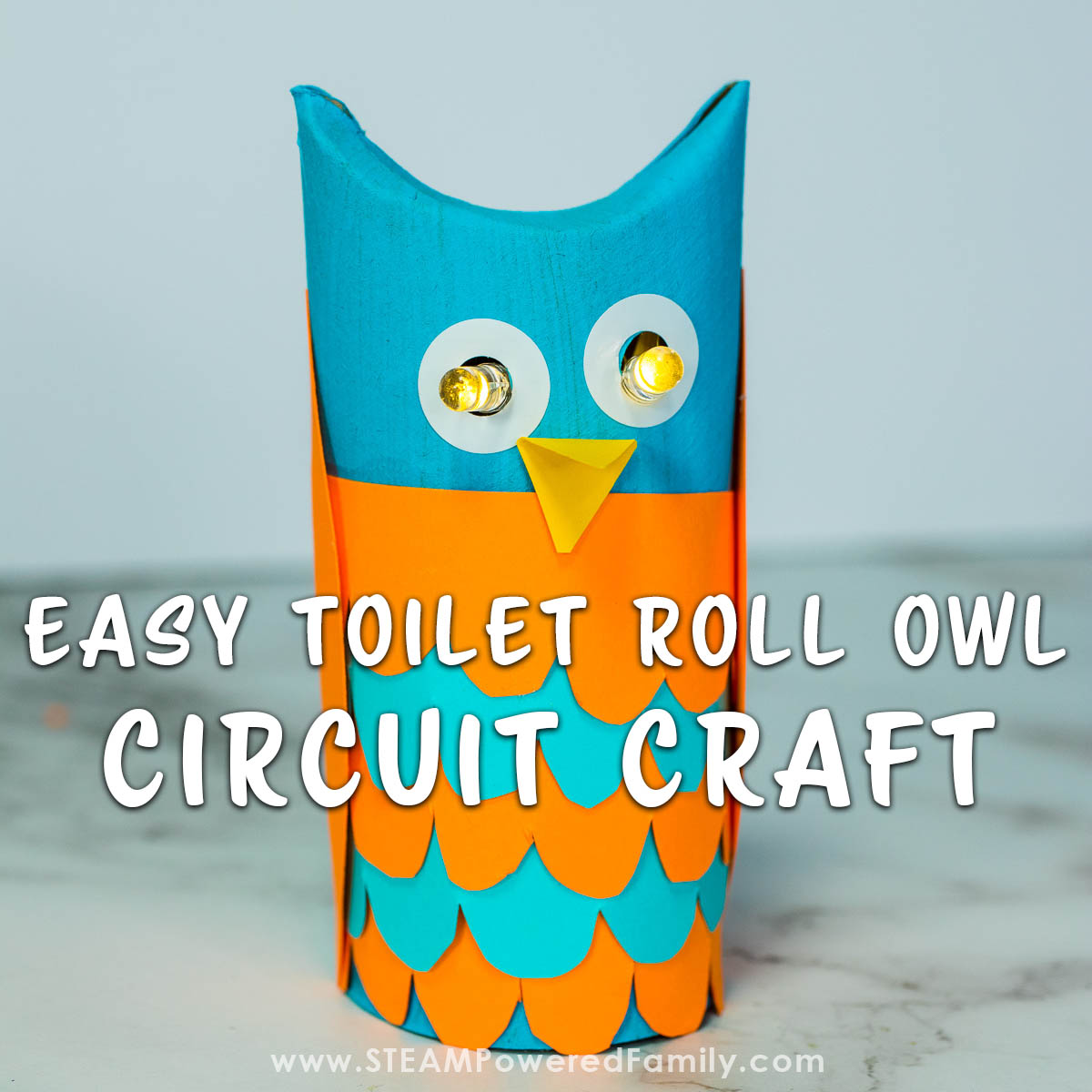 Toilet Roll Owl Circuit Craft with eyes that light up