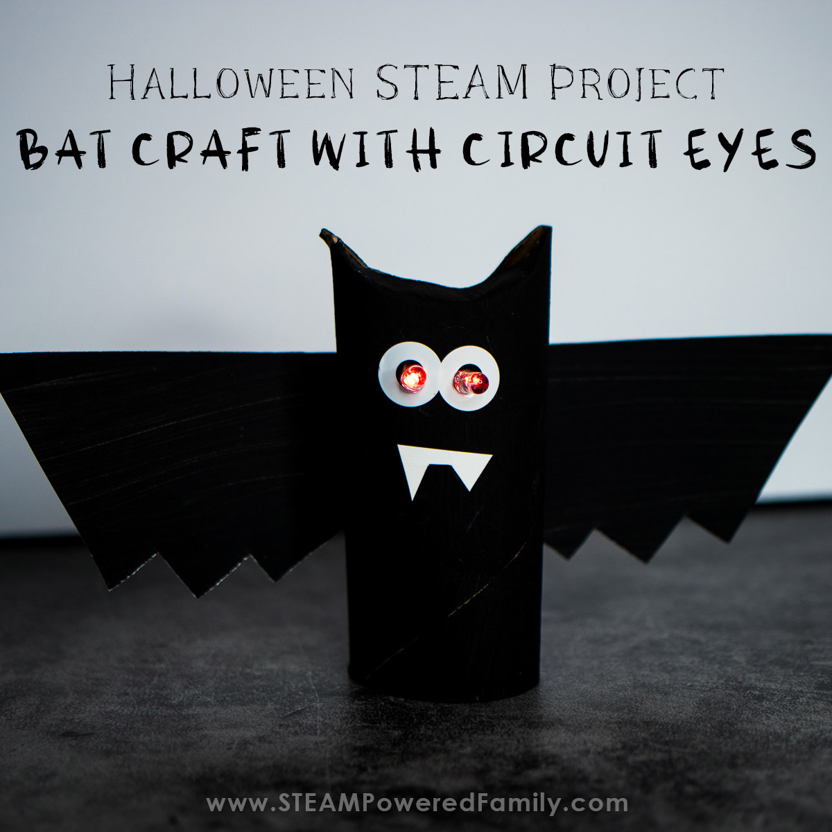 Bat Craft With STEM Circuit
