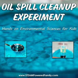 Oil spill cleanup experiment for home or classroom