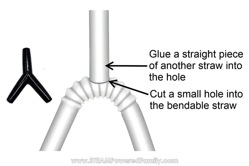 How to use straws for lung model