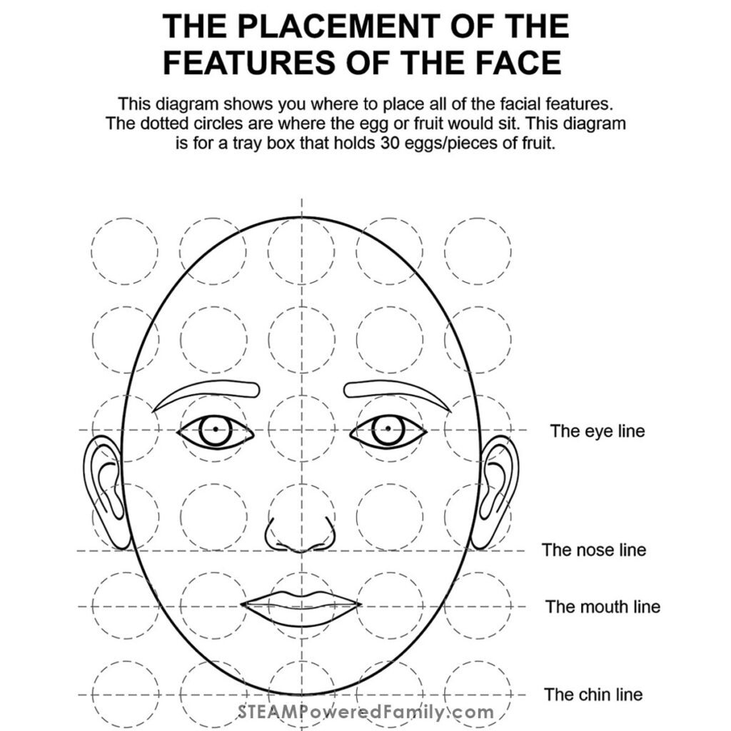 Facial Features Guide for Portraits