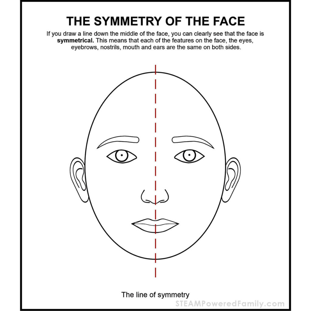 Symmetry of the face